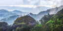 Kaffeeplantage Ruanda
