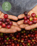 direkter-handel-peru-omni-roast