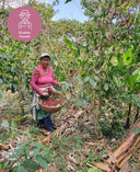 Kaffee aus El Salvador (La Reforma natural)