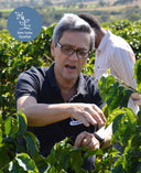 Espresso aus Brasilien (São Silvestre)